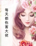 每天都伤害大佬