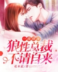 一夜情深:狼性总裁,不请自来