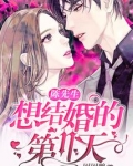 陈先生想结婚的第n天