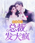 带球跑后,总裁发大疯