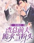 出道后,渣总前夫跪求当粉头