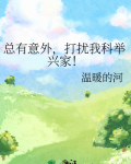 总有意外,打扰我科举兴家!