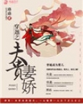 穿越之夫贵妻娇