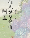 网王倾尽繁华所有