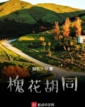 槐花胡同
