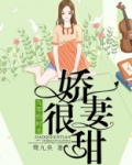 九零恰时光:娇妻很甜