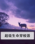 超级生命穿梭器