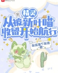 精灵:从被新叶喵收留开始航行
