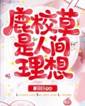 鹿校草是人间理想