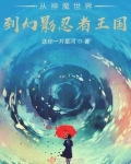 乐高幻影忍者:且行且随风