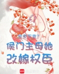 宠妾灭妻?侯门主母她改嫁权臣