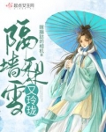 隔墙梨雪又玲珑
