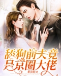 舔狗前夫竟是京圈大佬