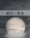 最后一条龙