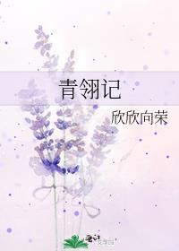 青翎记 小说