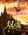 双魂