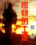 燃烧的土地