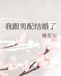 我跟男配结婚了