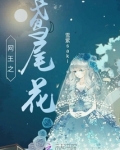 网王之鸢尾花