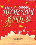 重生年代:带百亿空间杀回九零