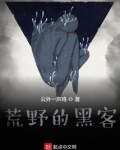 荒野的黑客