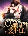 顾总太宠妻,夫人她直呼受不住
