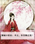 倾城小医妃:冷王,你没赖过我!