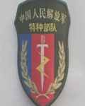 你的青春我的军营