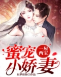 一屋两宝:蜜宠小娇妻