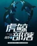虎鲸部落