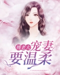 傅老大,宠妻要温柔