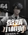 赘婿小相师
