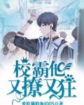 校霸他又撩又狂