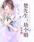 楚先生,劫个婚