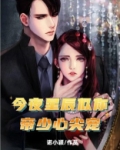 今夜星辰似你：帝少心尖宠