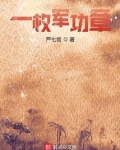 一枚军功章