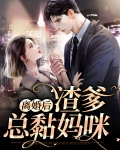离婚后渣爹总黏妈咪
