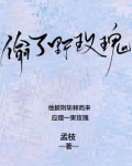 偷了野玫瑰