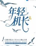 年轻机长