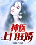 神医上门狂婿