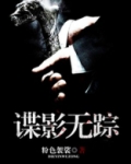 谍影无踪