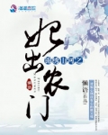 锦绣山河之妃出农门