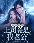 闪婚盛宠:上司竟是我老公
