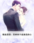 婚途漫漫:男神束手就擒我的心
