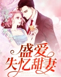 盛爱失忆甜妻