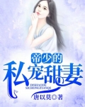 帝少的私宠甜妻