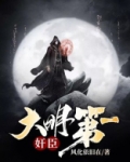 大明第一奸臣