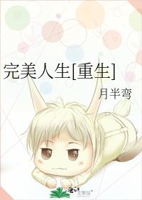 完美人生重生80动画