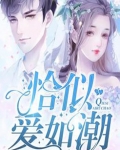 恰似爱如潮