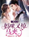 一胎五宝:妈咪又掉马夹了